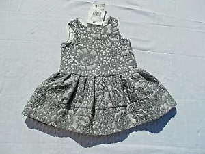 New CHICCO Dress Girls Sz 9 mos (68) Gray Silver Lined Full Skirt Special NWT - Picture 1 of 7