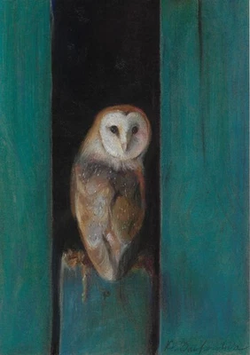 dibujo original A4 320ZvK ilustraciones pastel moderno pelícano pájaro búho Foto 1 de 2