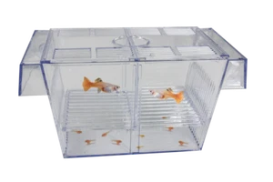 SuperFish schwimmendes Aufzuchtsbecken-Zuchtbecken, - Bild 1 von 1