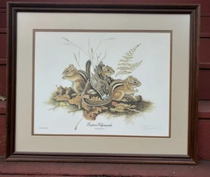 Jim Oliver gerahmter Eastern Chipmunks TAMIAS STRAIUS Teller 20 signiert - Bild 1 von 7