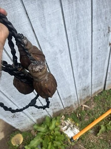 HEAVY Gaucho style bolas boleadoras hunting tool Leather & sand Safe For Animals - Picture 1 of 4