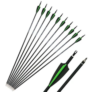 12pcs Archery Carbon Arrows 30" SP500 Points Compound Recurve Bow Hunting Target - Picture 1 of 8