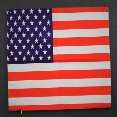 Pillow Cover Sham Stars Stripes USA American Flag Red White Blue Zip Close 17" - Image 1 of 4