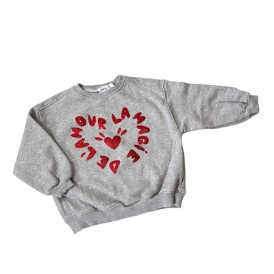 Sudadera Zara Niños Gris Cuello Redondo Rojo Magic of Love Corazón Gráfico Talla 3 Foto 1 de 4