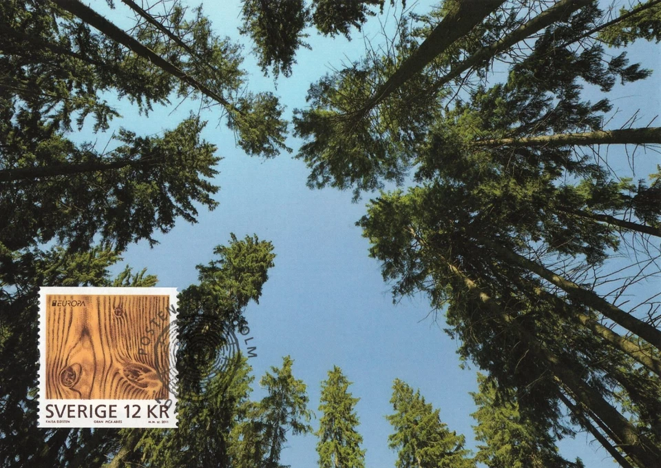 Spruce Forest Clean Europe Sweden Scandinavia Nature Mint FDC Maxi Card 2011 - Image 1 of 1