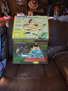 Food Web And Energy Pyramid Poster 33.5”x22” - Picture 1 of 8