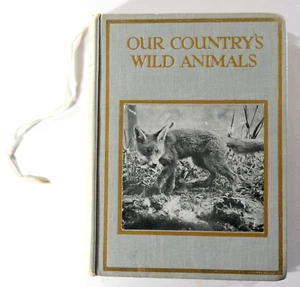 Our Country's Wild Animals H Mortimer Batten Vintage Old Wildlife Book 101 - Foto 1 di 11