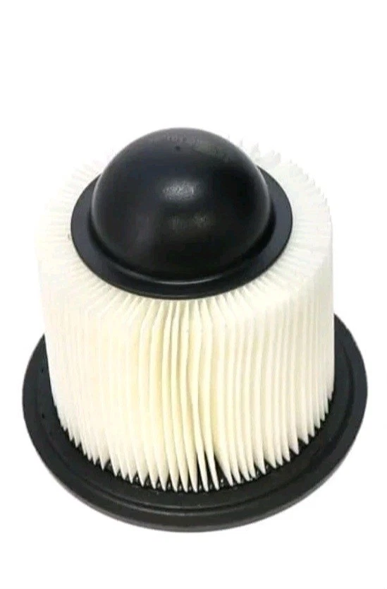 Filtro de aire de trabajo Luber-finer Luberfiner AF1615 apto para camioneta Ford (1995-19) Foto 1 de 1