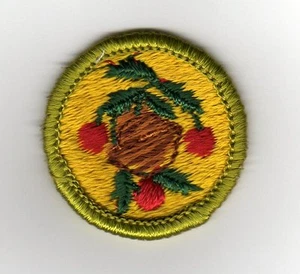 Verdienstabzeichen Obst & Nussanbau, Typ G, Stoffrücken (1961-71), neuwertig! - Bild 1 von 1