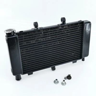 YAMAHA FZ6 FZ6-S RJ07 Fazer radiador radiador de agua solo 16733 km Foto 1 de 4