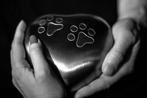 Pet Cremation Crematory Services Business Plan - Afbeelding 1 van 3