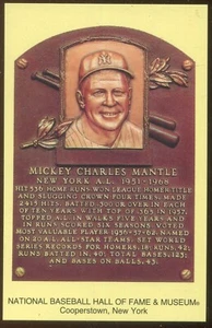 NY Yankees Mickey Mantle Lot of 3 Cooperstown Plaque Retirement Day Organ Donor - Picture 1 of 4
