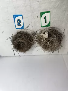 Choice, 1 Or 2 Authentic Abandoned Bird's Nest Medium Size Natural Materials - Picture 1 of 9