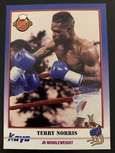 BOXING CARD 1991 TERRY NORRIS No. 020 JR MIDDLEWEIGHT CHAMP - Picture 1 of 2