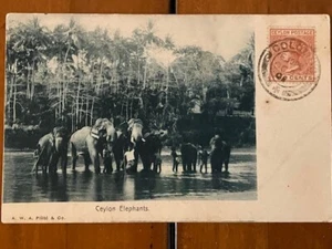1901 Rare Stamp with Post card CEYLON / SRI LANKA - Picture 1 of 1