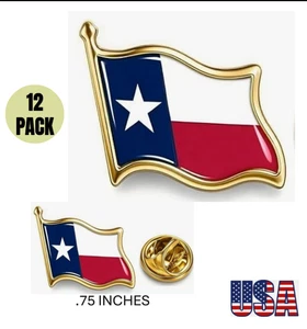 12 CONFEZIONI STATE OF TEXAS FLAG .75 metallo bavero/cappello/giacca/zaino spille nuove - Foto 1 di 2