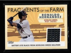 RONALDO HERNANDEZ 2019 TOPPS PRO DEBUT FRAGMENTS OF THE FARM BATTERS' EYE AN1668