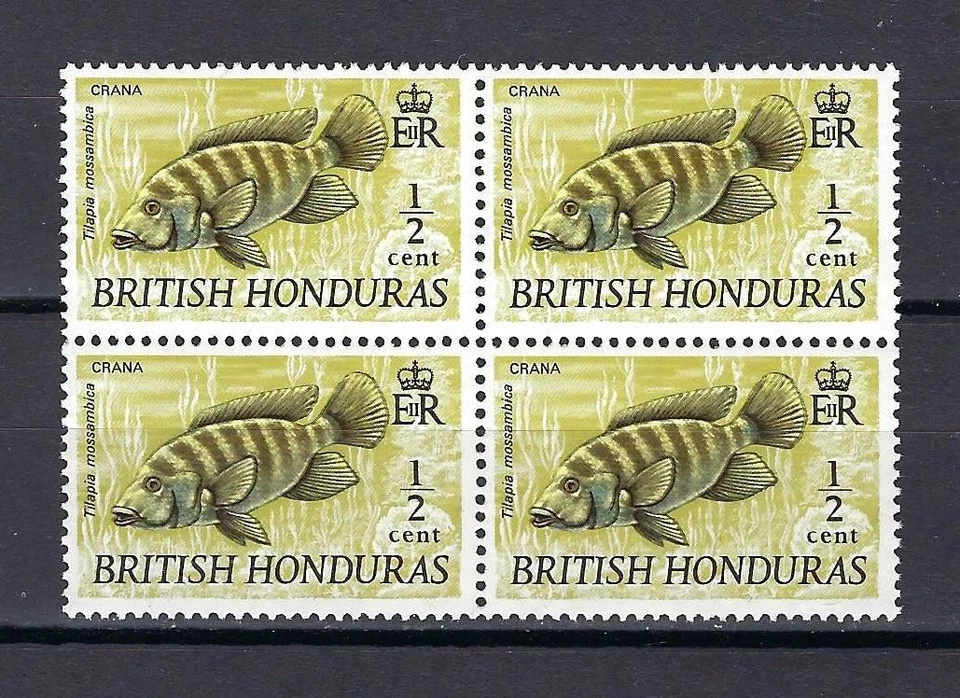Британский Гондурас 1971 Sc # 235 Tilapia рыбы цитрон цвет блока 4 MNH CV $15 - Изображение 1 из 1