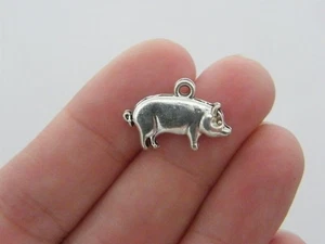 GROSSPACKUNG 50 Schwein Charms Antik Silberfarben A105 - Bild 1 von 5
