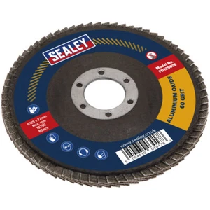 Sealey FD12560E Solapa Disco Oxido de Aluminio Ø125mm Ø22mm Orificio 60Grit - Imagen 1 de 1
