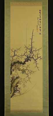 JAPANESE HANGING SCROLL ART Painting  Plum Blossoms  Asian Antique  #E8831 • 38.76$