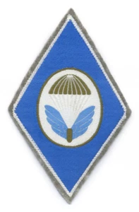 CHECOSLOVAQUIA, 22.ª Brigada Aerotransportada, emblema del 71.º Batallón Paracaidista, años 80 - Imagen 1 de 1