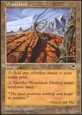 Tempest Wasteland x1 Moderate Play, English Magic Mtg M:tG