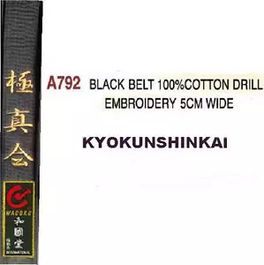CINTURA KYOKUNSHINKAI KARATE PERSONALIZZABILE KYOKUSHIN GIAPPONESE JAPAN OYAMA - Imagen 1 de 1