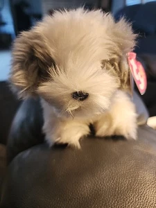 TY Beanie Baby Furston The English Sheepdog 2006 con etiqueta suave esponjoso gris blanco - Imagen 1 de 4