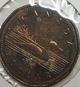 1993 Canada $1 Dollar Coin Proof Like Loonie - Picture 1 of 3