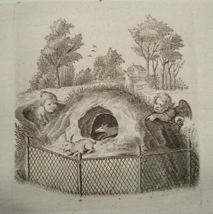 Bambini cattura coniglio caccia gioco per bambini incisione su rame P. van der Aa 1703 - Foto 1 di 1