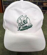 Adirondack Lumberjacks Glens Falls, New York Baseball cap hat