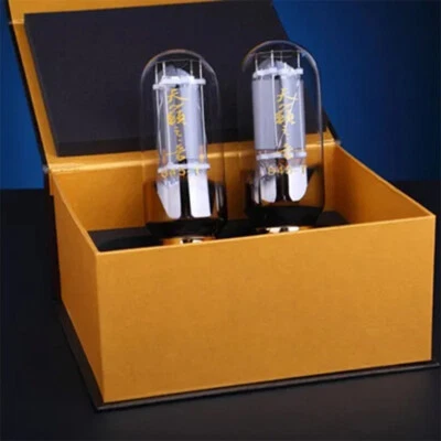 2 PIEZAS Par Emparejado Shuguang Nature Sound 845-T Tubo de Vacío 845 Foto 1 de 4