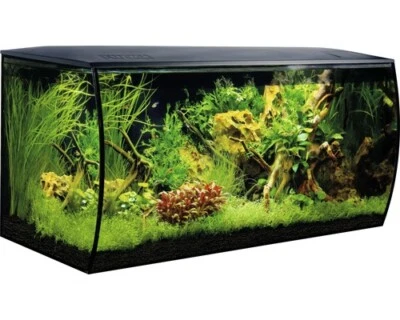 Aquarium Fluval Flex 123 l inkl. LED-Beleuchtung, Filter, Schaumstoffunterlage o
