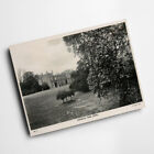 A3 Print - Vintage Surrey - Nonsuch Park, Ewell