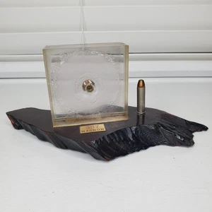 Magnum 357 Bullet Display Piece In Resin / Acrylic Mounted On Wood - Picture 1 of 9