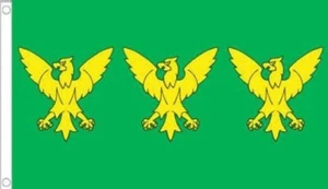 CAERNARFONSHIRE FLAG 5' x 3' Caernarfon Carnarvonshire Wales Welsh Owain Gwynedd - Picture 1 of 1
