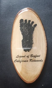 Legend Of Bigfoot California Redwoods Magnet - Bild 1 von 3