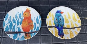 2 Pier 1 Tropical Bird 8 Inch Salad Plates Stoneware Brand New - Picture 1 of 7