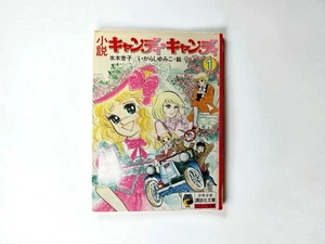 Candy Candy romanzo volume 1 di Yumiko Igarashi libro romanzi vintage raro Giappone - Foto 1 di 5