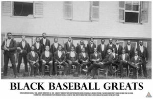 Black Baseball Greats Poster African American History Print (17x11) - Picture 1 of 5