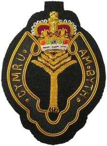 Welsh Guards Regiment Wire Bullion Blazer Badge - Picture 1 of 1