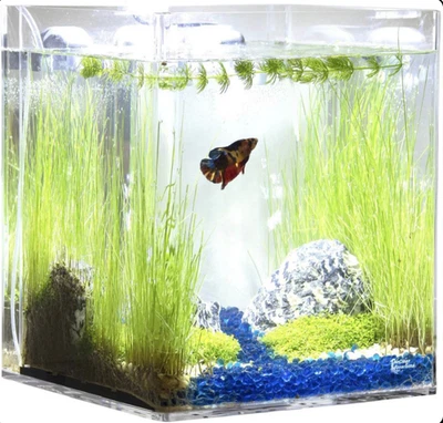 Самоочищающийся кубический резервуар объемом 5 галлонов с низким уровнем обслуживания, подставка для водопада аквариума без очистки - Изображение 1 из 4