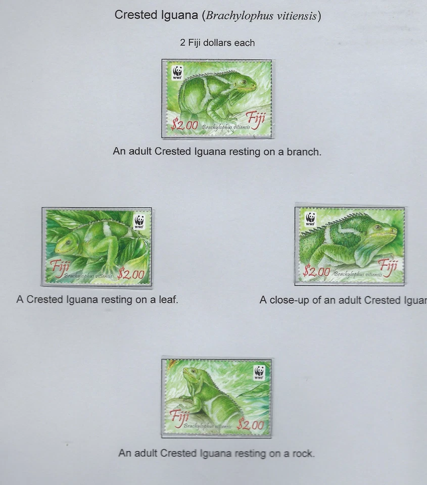 Fiji / 2010 / Iguana crestada / Juego de 4 / #1243 / WWF / MNH / 1389-1 Foto 1 de 1