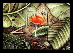 ANTIGUA & BARBUDA - BF - 1989 - Funghi - Leucopaxillus gracillimus - (A) - Picture 1 of 1