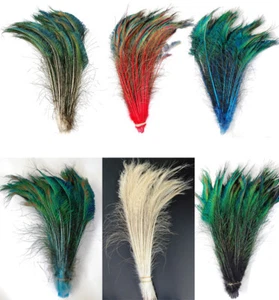 Natural & Dyed PEACOCK SWORDS 10"-35" Feathers; Craft/Costume/Hats/Halloween - Picture 1 of 11