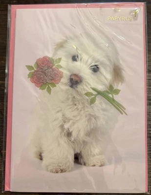 Papyrus Valentines Greeting Card New With Envelope Puppy W/3D Flowers - Image 1 of 3