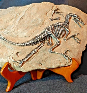 12" Dinosaurier GREIFVOGEL SKELETT PLAKETTE REPRODUKTION mit Ständer Jurassic Park - Bild 1 von 11