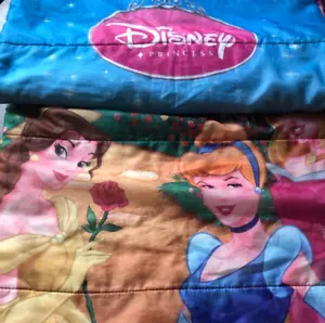 DISNEY Princesa Saco de Dormir Niños Niña Rosa Camping 57" x 28" JS - Imagen 1 de 10