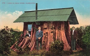 Postcard Cabin in Cedar Stump Washington DB - Picture 1 of 2